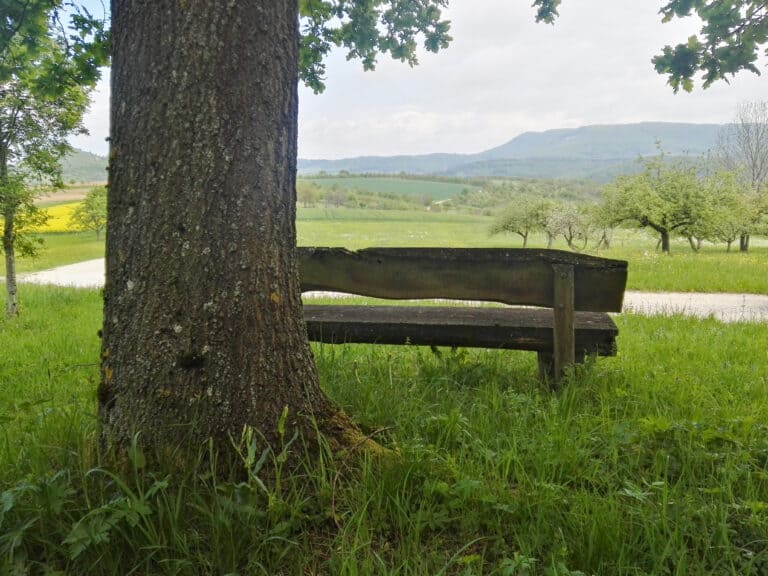 Alte Holzbank unter Baum mit Landschaftsausblick